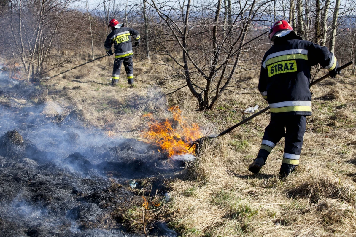 Od początku roku podkarpaccy strażacy już 663 razy wyjeżdżali, by gasić pożary traw na łąkach, pastwiskach i nieużytkach. Tylko w marcu takich interwencji było 522. Jedna osoba została ranna - poinformował bryg. Marcin Betleja, rzecznik prasowy Podkarpackiego Komendanta Państwowej Straży Pożarnej.