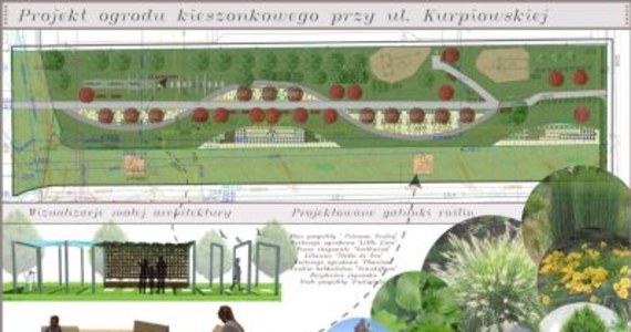 Na rzeszowskim osiedlu Pobitno powstanie pierwszy z tegorocznych ogrodów kieszonkowych. Zajmie powierzchnię prawie 30 arów - poinformował Urząd Miasta.