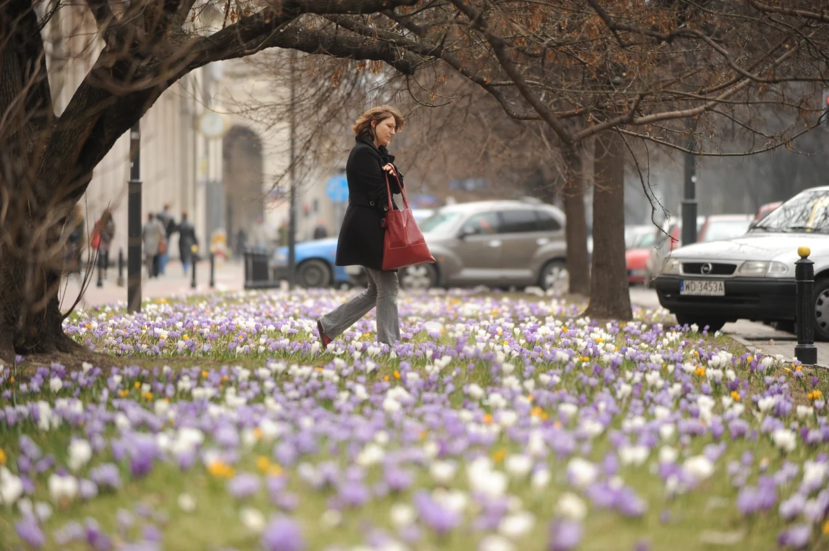 W niedzielę 20 marca o godzinie 16.33 rozpocznie się astronomiczna wiosna, która potrwa do 21 czerwca. W tym czasie na nocnym niebie będzie można zobaczyć wszystkie planety, rój meteorów, przez lornetkę dostrzec kometę C/2021 O3. 16 maja z terytorium Polski będzie widoczne częściowe zaćmienie Księżyca.