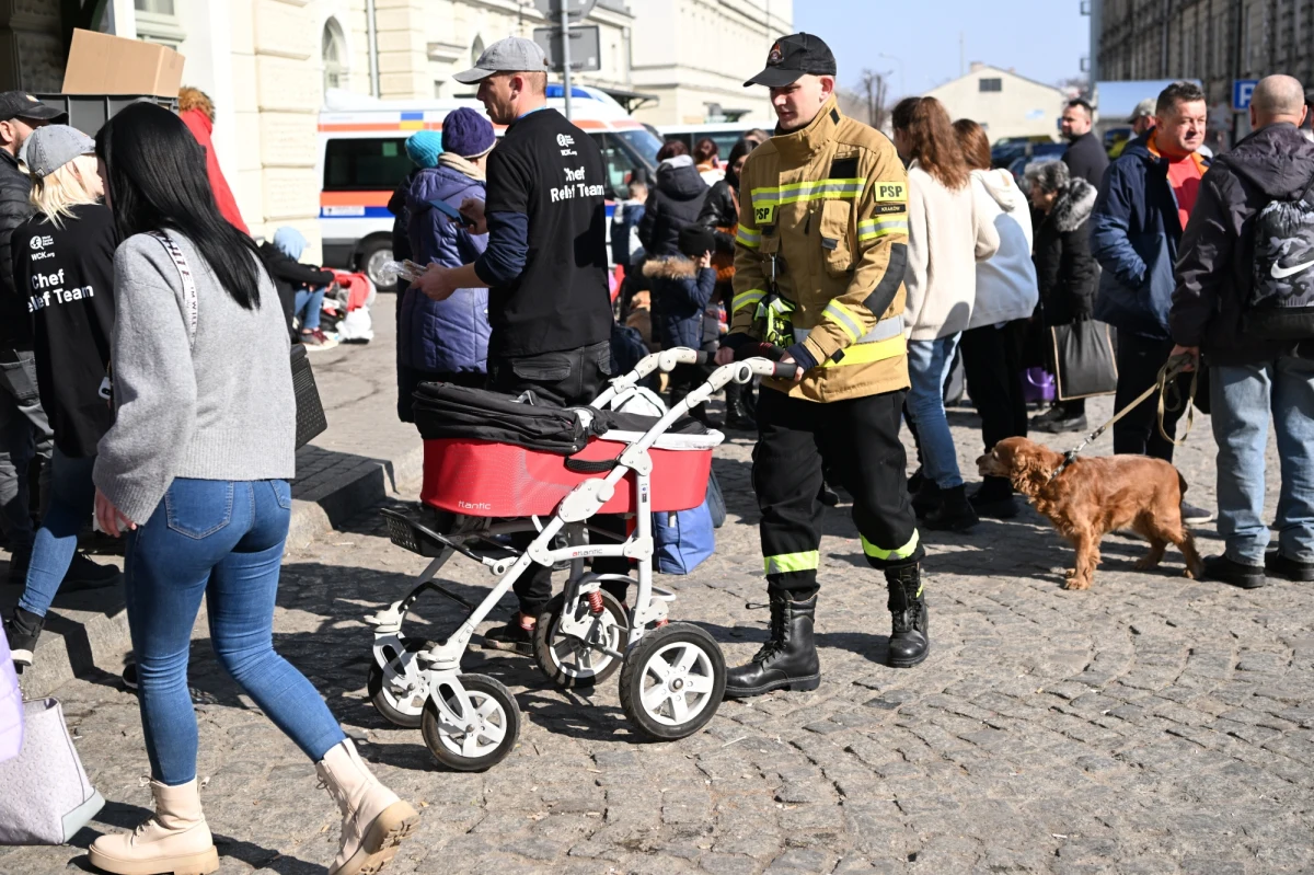Część uchodźców z Ukrainy zabiera ze sobą swoje zwierzęta. W trzech punktach w Olsztynie mogą oni bezpłatnie zaszczepić czworonogi i je zarejestrować.