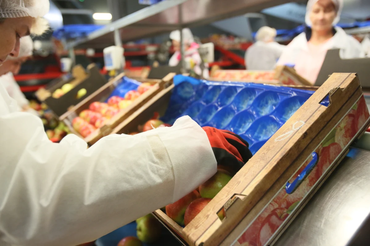 Przeciętne wynagrodzenie brutto w sektorze przedsiębiorstw w lutym 2022 r. wyniosło 6.220,04 zł, co oznacza wzrost o 11,7 proc. rdr - podał Główny Urząd Statystyczny w najnowszym raporcie. Zatrudnienie w tym sektorze rdr wzrosło o 2,2 proc.