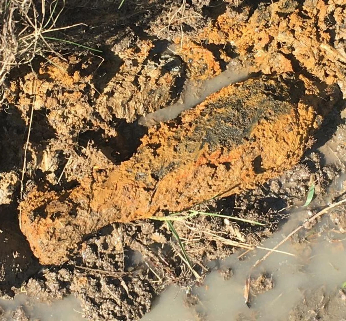 Na pocisk z czasów II wojny światowej natrafił w małopolskich Babicach pracownik oczyszczający rowy melioracyjne. Znalezisko zostało już zabezpieczone przez saperów - poinformował rzecznik małopolskiej policji Sebastian Gleń.

