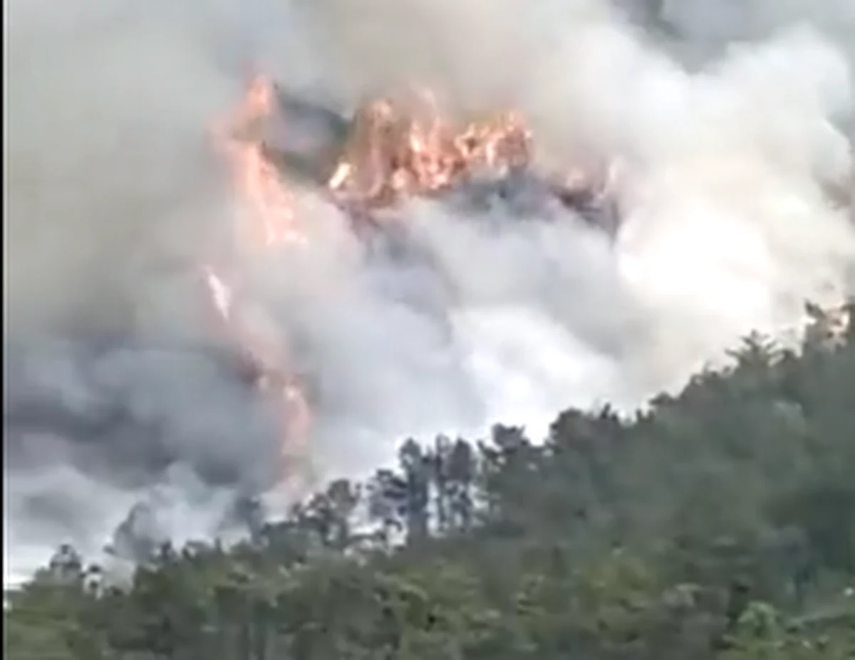 Samolot Boeing 737 linii China Eastern Airlines lecący z Kunmingu do Kantonu rozbił się w regionie Kuangsi na południu Chin; na pokładzie były 132 osoby, w tym 123 pasażerów i 9 członków załogi – potwierdził chiński urząd lotnictwa cywilnego CAAC.