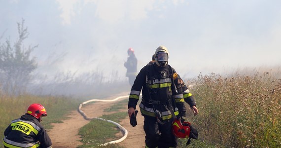 Mimo apeli przyrodników i wysokich kar początek wiosny strażakom kojarzy się przede wszystkim z wypalaniem traw. W Warmińsko-Mazurskiem dochodzi do nawet stu pożarów dziennie. 