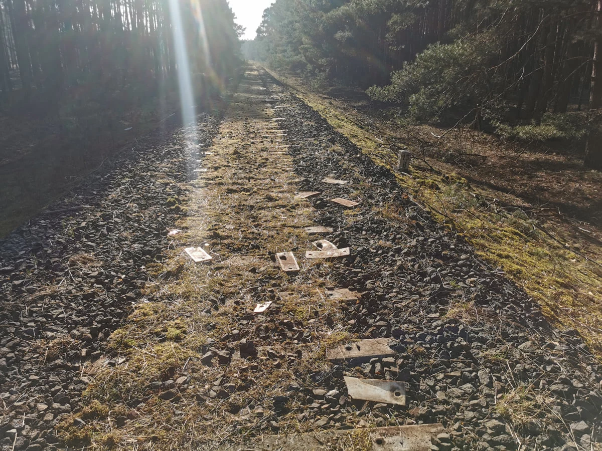 Do kradzieży szyn oraz infrastruktury torowej doszło na linii kolejowej nr 371 z Wolsztyna w kierunku Krzyża Rudno (Wielkopolska). Dokładnie chodzi o 400-metrowy nieczynny już odcinek na szlaku Świętno-Rudno - podaje Głos Wielkopolski.