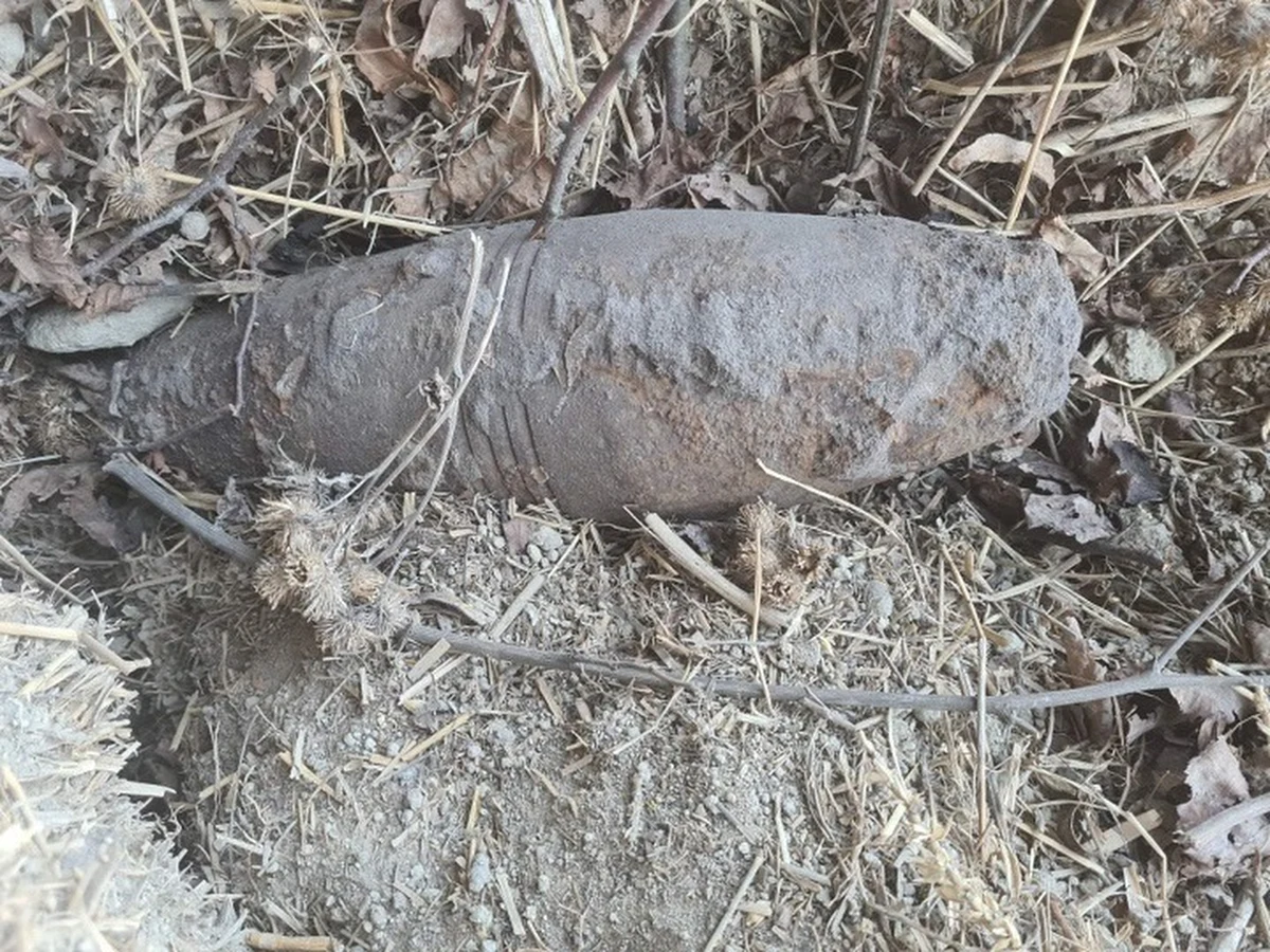 Na niezamieszkałej posesji w gminie Białopole znaleziono niewybuch z czasów drugiej wojny światowej. O fakcie tym dyżurnego komendy powiadomił mężczyzna, który wykonywał tam prace porządkowe. Policjanci zabezpieczali niebezpieczne znalezisko do czasu przyjazdu patrolu saperskiego.