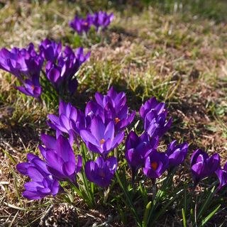 /Łódź.pl /Materiały prasowe