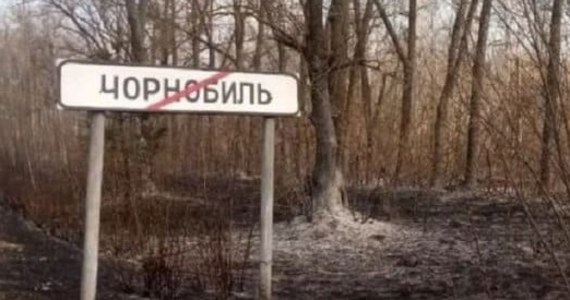 W Czarnobylskiej Strefie Wykluczenia w pobliżu elektrowni jądrowej płonie 10 tys. hektarów lasów, zarejestrowano tam 31 pożarów - ostrzegła w niedzielę ukraińska rzeczniczka praw człowieka Ludmyła Denisowa. Wcześniej o pożarach w tym rejonie informowała MAEA.