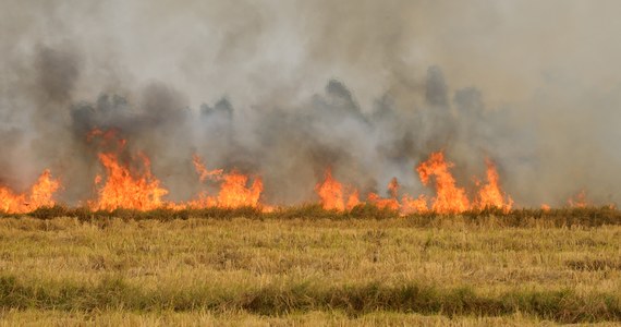 ​W Mołdawii podczas ostatniej doby wybuchło 345 pożarów. W większości przypadków żywioł objął nieużytki rolne - podała w niedzielę po południu mołdawska obrona cywilna. Okoliczności pojawienia się ognia są przedmiotem śledztwa - przekazały władze.