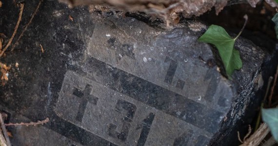 Szczecińscy policjanci odnaleźli skradzione 10 lat temu elementy chrzcielnicy oraz granitowego orła z podstawą. Mundurowi znaleźli również fragmenty kilku granitowych płyt nagrobnych. 