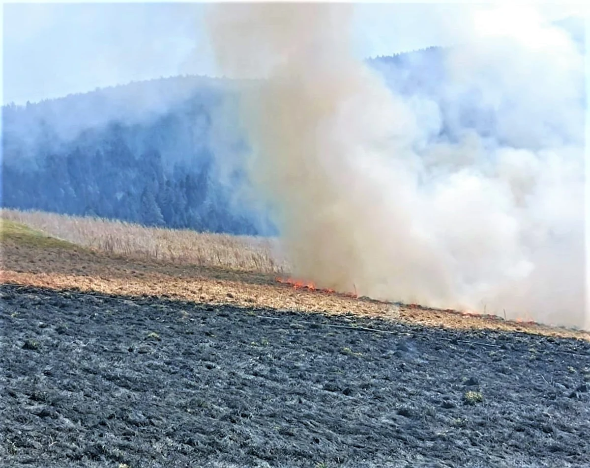 Mieszkaniec Śląska, robiąc wiosenne porządki na działce rekreacyjnej w gminie Gródek nad Dunajcem wywołał pożar, który strawił niemal hektar łąki. A chciał tylko spalić konary drzew.

