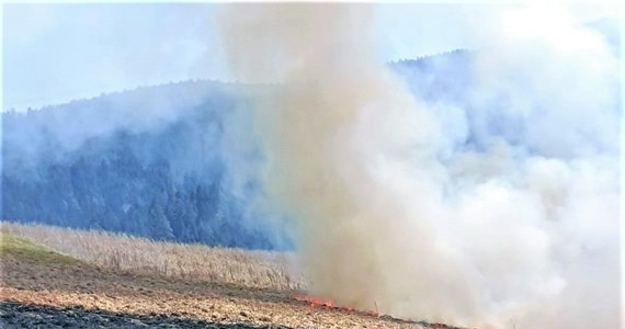 Mieszkaniec Śląska, robiąc wiosenne porządki na działce rekreacyjnej w gminie Gródek nad Dunajcem wywołał pożar, który strawił niemal hektar łąki. A chciał tylko spalić konary drzew.

