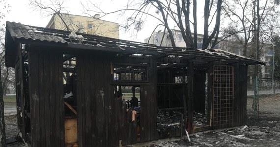 Zwłoki 33-letni mężczyzny znaleziono w spalonym drewnianym niezamieszkałym budynku na obrzeżach Chełma (woj. lubelskie). Do tragicznego pożaru doszło w nocy.