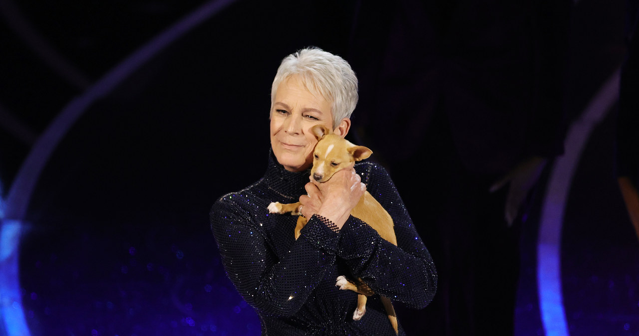 Jamie Lee Curtis podczas tegorocznej gali wręczenia Oscarów była prezenterką sekcji „In Memoriam”, w której przypominano zmarłe niedawno gwiazdy show-biznesu. Sama aktorka uhonorowała zmarłą pod koniec zeszłego roku Betty White. Aby oddać hołd legendzie telewizji, która słynęła z zaangażowania w działania na rzecz ochrony zwierząt, Curtis przyprowadziła ze sobą psa ze schroniska. Szczeniak o pociesznym imieniu Mac N Cheese znalazł już nowy dom – adoptował go 11-letni syn Johna Travolty.