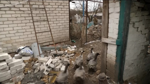 Tak wyglądają okolice miasta Izium na wschodzie Ukrainy po tygodniach rosyjskich ataków i nieustannych bombardowań. Okoliczni mieszkańcy obawiają się całkowitej zagłady.
