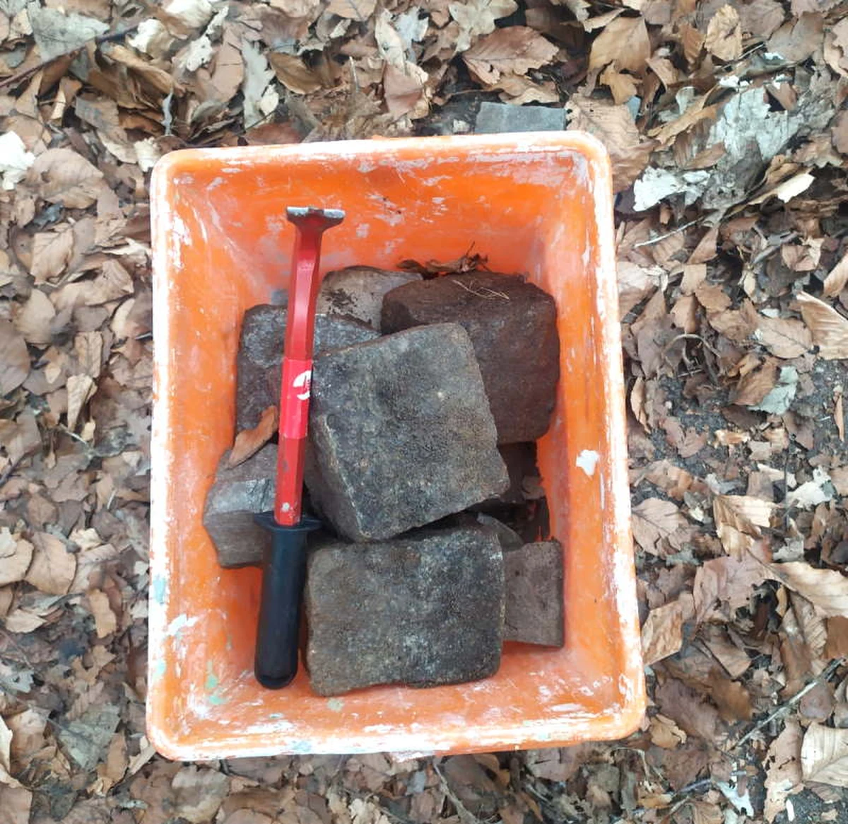 Złodzieja zabytkowej kostki brukowej zatrzymali strażnicy miejscy z Kołobrzegu. Mężczyzna został przyłapany, gdy demontował brukowaną nawierzchnię w Parku Teatralnym.