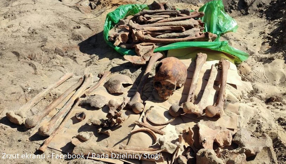 Szczątki kilkunastu osób - kości udowe i piszczelowe, a także czaszkę - znaleziono w trakcie prac budowlanych w gdańskiej dzielnicy Stogi. W tym miejscu ma powstać tzw. pump track, czyli tor sportowo-rekreacyjny do jazdy dla rowerzystów, rolkarzy, deskorolkarzy, jeżdżących na bmx-ach i hulajnogach.