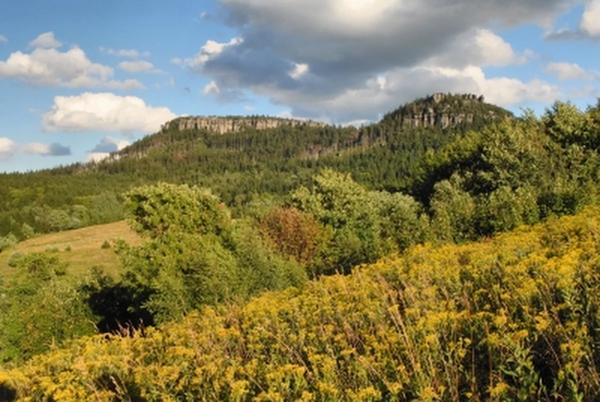 Park Narodowy Gór Stołowych wprowadza limity wejść na trasy turystyczne na Szczelińcu Wielkim oraz w Błędnych Skałach. Duża liczba odwiedzających powodowała korki, kolejki i chaos 