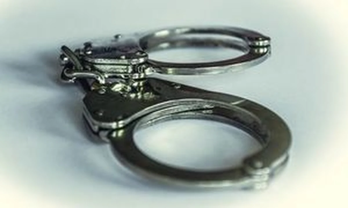 Policjanci z Łodzi zatrzymali mężczyznę, który zaczepiał uczennice wychodzące ze szkoły podstawowej i pokazywał im zdjęcia nagich kobiet.

