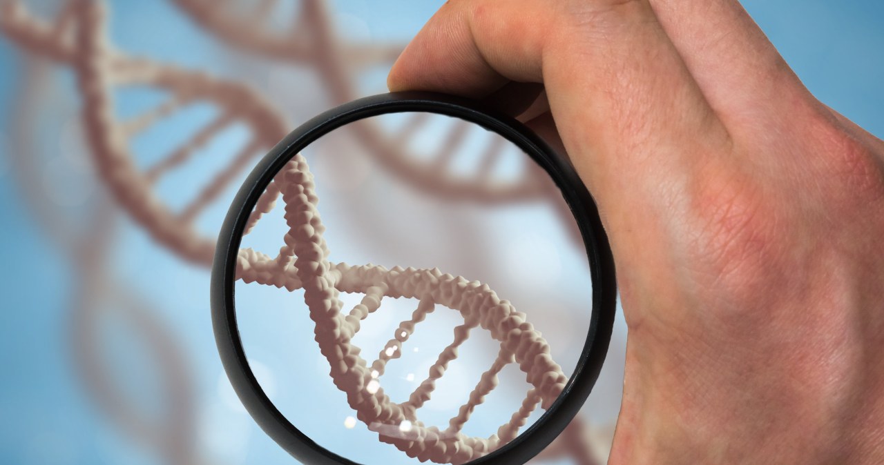Prawie połowa ludzkiego DNA to jednak nie śmieci? Zaskakujące fakty