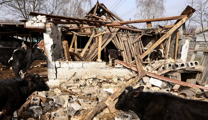 Ukraińcy opuszczają kluczowe miasto. ISW: To efekt polityki Zachodu