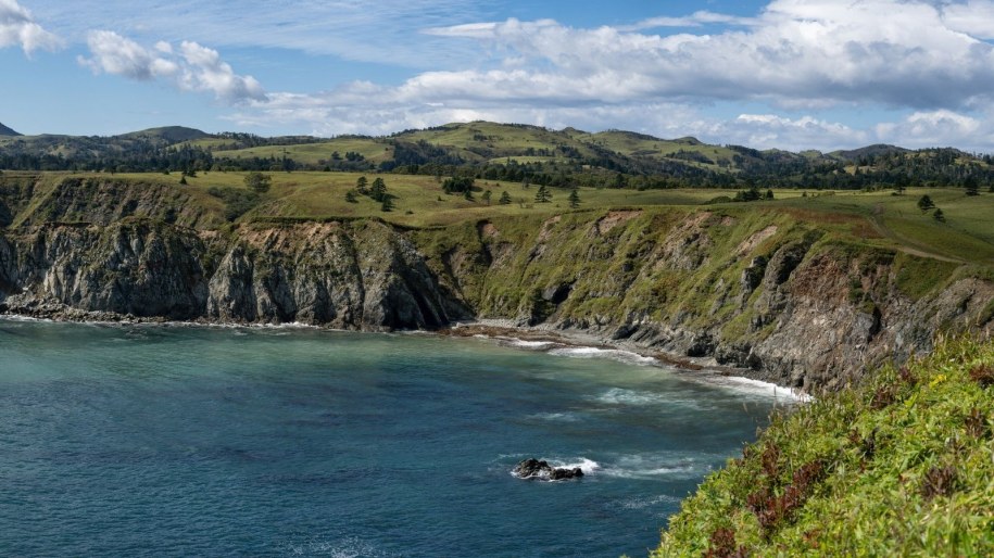 Japonia upomina się o Wyspy Kurylskie. „Nielegalna okupacja Rosji”