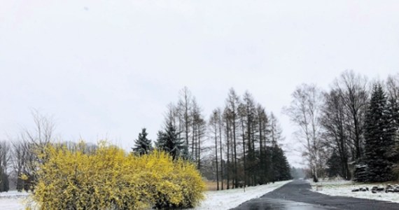 W piątek, 1 kwietnia, Ogród Botaniczny w Łodzi ponownie otwiera się dla zwiedzających po zimowej przerwie. Najbliższe miesiące przyniosą feerię barw roślin i piękne kompozycje. Koniecznie trzeba zobaczyć słynną kolekcję tulipanów i piwonii.