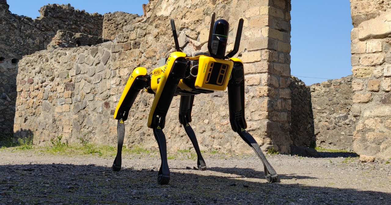 Robot od firmy Boston Dynamics kolejny raz będzie walczył z przestępcami u boku policji. Tym razem jego zadaniem będzie patrolowanie stanowiska archeologicznego w słynnych Pompejach.