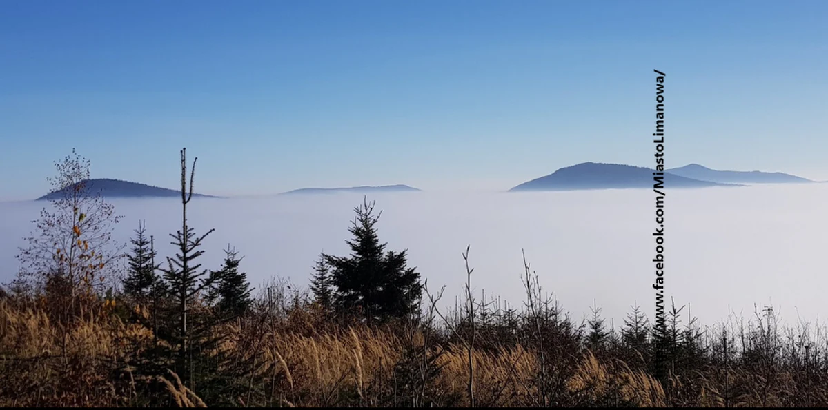 Po dwóch latach przerwy spowodowanej pandemią, w tym sezonie letnim turyści znów będą mogli wspólnie przemierzać górskie szlaki w ramach cyklicznej akcji Odkryj Beskid Wyspowy. Od czerwca do września zaplanowano 18 wędrówek. Pierwsza - 5 czerwca na Urbanią Górę.