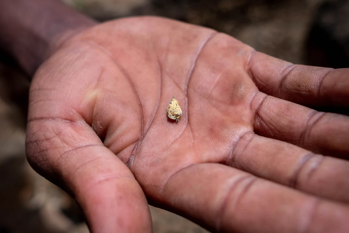 Od wybuchu wojny istotnym elementem toczących się w jej tle jest sprawa surowców. Politycy rozmawiają o gazie, ropie i węglu - trzech kluczowych elementach każdej gospodarki. Dla Polski istotne są także dostawy soli potasowo-magnezowych ważnych dla produkcji nawozów i surowców kaolinowych, szczególnie istotnych w przemyśle płytek ceramicznych. W przyszłości cenne surowce mogą być zupełnie inne. Marlena Chudzio rozmawiała z Karolem Zglinickim z Państwowego Instytutu Geologicznego m.in. o tym, jakie cenne złoża są w Donbasie, o który toczą się zaciekłe walki. 