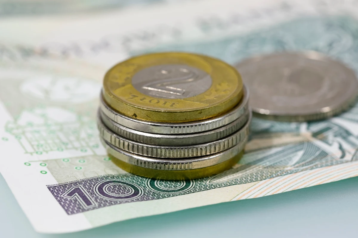 W poniedziałek wieczorem złoty umocnił się wobec euro. Jednocześnie stracił na wartości wobec dolara i franka szwajcarskiego. Około godz. 19 europejska waluta kosztowała 4,62 zł, dolar - 4,21 zł, a frank szwajcarski - 4,54 zł.