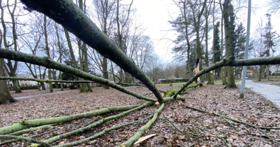 190 razy interweniowali strażacy na Warmii i Mazurach w związku z silnym wiatrem przechodzącym przez region. Przede wszystkim usuwali powalone drzewa, konary, czy zabezpieczali uszkodzone dachy.