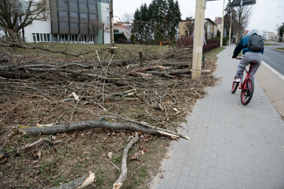 158 razy interweniowali strażacy na Pomorzu w związku z silnym wiatrem. Jedna osoba została ranna. W regionie nadal są też problemy z zasilaniem.