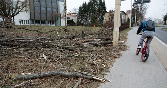 158 razy interweniowali strażacy na Pomorzu w związku z silnym wiatrem. Jedna osoba została ranna. W regionie nadal są też problemy z zasilaniem.