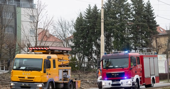 Ponad 120 zgłoszeń odebrali wielkopolscy strażacy w związku z wichurami, jakie od poniedziałkowego popołudnia przechodziły nad regionem. Interwencje dotyczyły najczęściej powalonych i połamanych drzew.