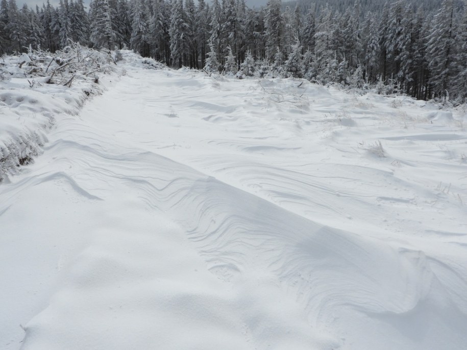 /fot. Karkonoski Park Narodowy /Facebook