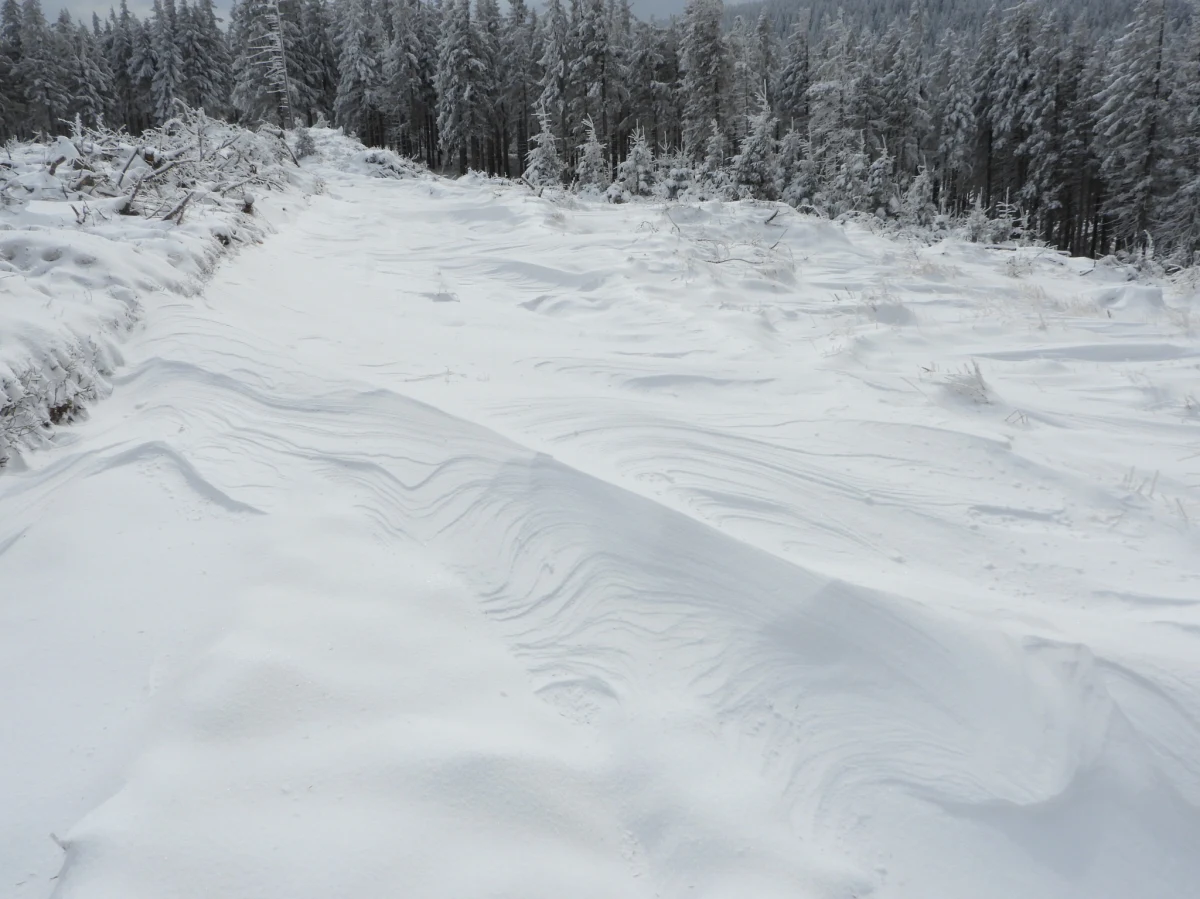 ​Bardzo silny wiatr w Karkonoszach. Na Śnieżce do piątku może wiać w porywach z prędkością nawet do 150 kilometrów na godzinę. Ratownicy Górskiego Ochotniczego Pogotowia Ratunkowego odradzają wyjścia wysoko w góry. 
