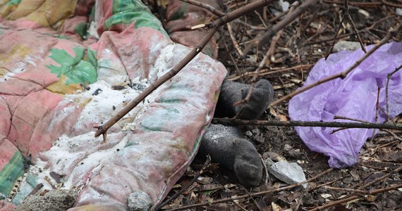 Rosyjskie wojska uruchomiły w Mariupolu mobilne krematoria. Jak informuje rada miejska, okupanci pozbywają się ciał zamordowanych cywilów. Połowa miasta znajduje się pod kontrolą wojsk rosyjskich i bojowników separatystycznej, samozwańczej Donieckiej Republiki Ludowej, a druga połowa - pod kontrolą ukraińskich obrońców. Mariupol od 30 dni jest jest systematycznie ostrzeliwany.