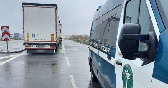 Kompletnie pijany kierowca ciężarówki zatrzymany na ekspresowej "ósemce" koło Radzymina. Białorusin, który przewoził prawie 19 ton ładunku do Niemiec "wydmuchał" ponad 3 promile alkoholu.


