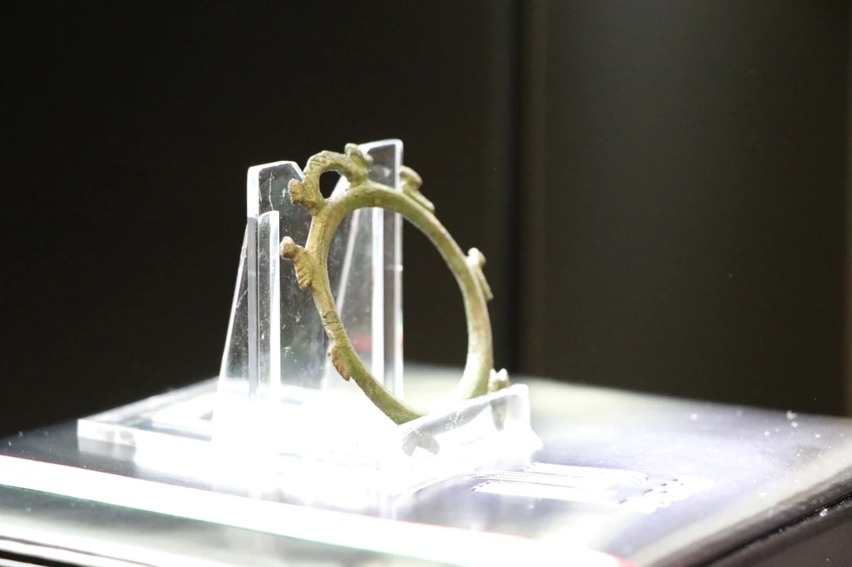 Zawieszka z kaczkami, licząca ok. 2 tys. lat została znaleziona w miejscu dawnej osady na terenie Wdeckiego Parku Krajobrazowego. Teraz trafiła do Akademii Górniczo-Hutniczej w Krakowie, gdzie powstanie jej wirtualny model. To jedyny taki przedmiot w Europie zachowany w całości.
