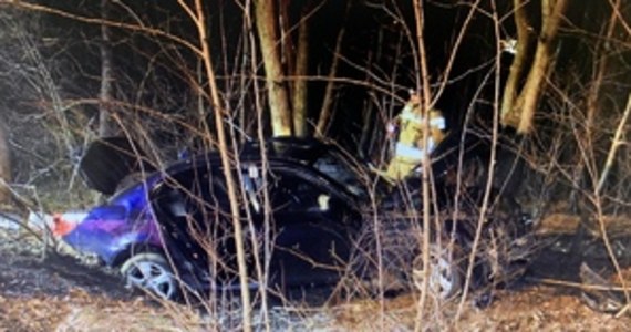 Zarzuty prowadzenia samochodu w stanie nietrzeźwości i spowodowania wypadku usłyszał 27-latek, który w niedzielę wieczorem w miejscowości Półsieraków (Podkarpacie) na łuku drogi stracił panowanie nad autem i uderzył w przydrożne drzewo. Na miejscu zginęło dwóch młodych pasażerów, a 20-letnia kobieta trafiła do szpitala.

