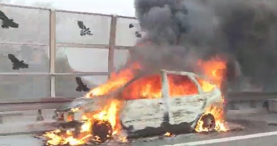 Doszczętnie spalił się samochód osobowy przy autostradzie A8 we Wrocławiu - to zachodnia obwodnica miasta o długości ponad 20 km.