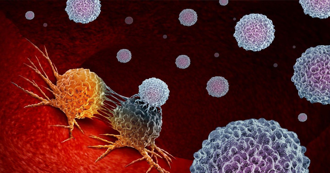 Walka z rakiem jelita grubego. Przełom w badaniach naukowców z Polski