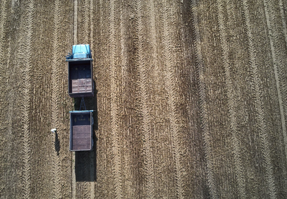 Dodatkowe dopłaty dla rolników - to jeden z postulatów, jaki znalazł się w liście do premiera Mateusza Morawieckiego, który dziś wieczorem wysłało dziesięciu byłych ministrów rolnictwa. Autorzy pisma ostrzegają, że przedłużająca się agresja Rosji na Ukrainę zagraża bezpieczeństwu żywnościowemu Polski.