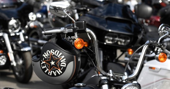 Amerykańska kuchnia, Elvis Presley, koncert Hommage a’ Blues Brothers z największymi filmowymi hitami, ryk motocykli Harley-Davidson, parada z sobowtórami, pokazy filmów czy quiz wiedzy o USA z nagrodami – m.in. te atrakcje będą czekały na rzeszowian i turystów 3 maja na ulicy 3 Maja, rynku i przy Fontannie Multimedialnej w stolicy Podkarpacia. Znany jest już dokładny program tegorocznego Święta Paniagi.