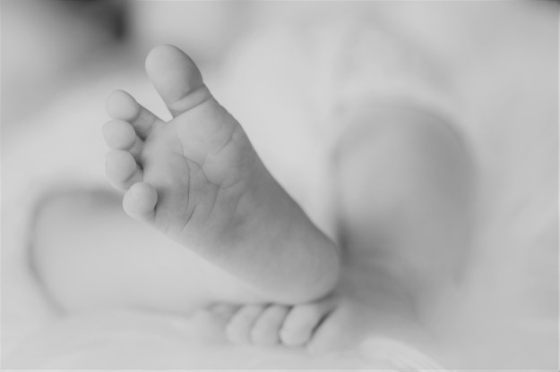 Ciało noworodka znalezione na śmietniku. Prokuratura bada sprawę