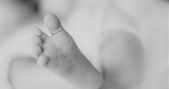Prokuratura bada sprawę zwłok noworodka, które zostały znalezione w Skwierzynie w województwie lubuskim. Ciało zostało porzucone w jednym z śmietników.