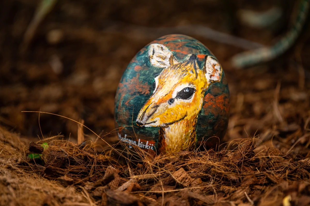 "Aukcja z jajem" - to charytatywna licytacja 9 pisanek pomalowanych przez opiekunów zwierząt wrocławskiego ZOO. Codziennie do 15 kwietnia można kupić jedną z nich. Dochód z aukcji trafi na pomoc zwierzętom w ogarniętej wojną Ukrainie. 