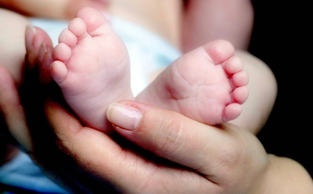 Pierwsze dziecko poczęte dzięki programowi in vitro we Wrocławiu, przyszło na świat w połowie lutego 2020 roku. Od tego czasu, dofinansowanie z budżetu miasta przyczyniło się do urodzenia 120 maluchów. Również w 2022 roku program będzie kontynuowany. W budżecie miasta zaplanowano na ten cel 800 tys. zł.