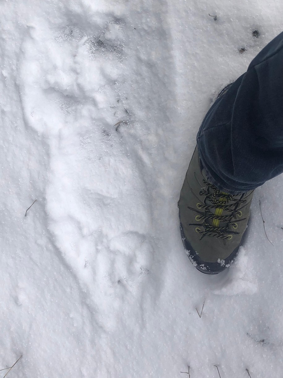 /Maciej Pałahicki /Radio RMF24